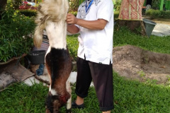 025033df-dd4a-465a-a1a5-89f97c85d5aa