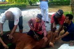 33efc21d-6fe5-438c-9cf3-d872a304b368