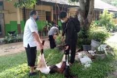 45471804-4419-46cd-a523-1d1825855e18