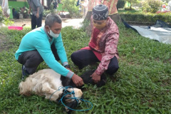 4af7d644-5967-467f-86aa-663f18a3fc82