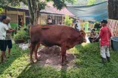 93766da3-5f07-4f93-99f2-044708db5633