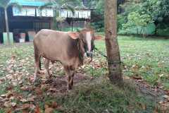 c16db253-7f37-4592-b9e5-131fa8621a8f